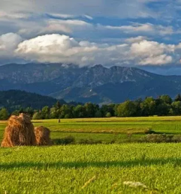 Secnja in spravilo lesa bled