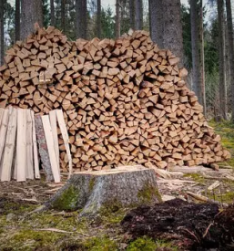 Secnja spravilo in odkup lesa in sena bled okolica gorenjska