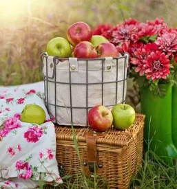 Piknik prostor slovenj gradec koroska