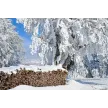 Voles d.o.o. Vojsko