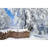 Voles d.o.o. Vojsko
