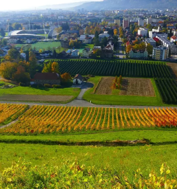 Biotehniska sola maribor