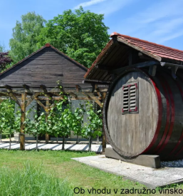 Najboljse planinsko drustvo celje