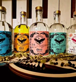 Gin