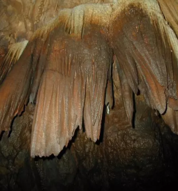 Tour of the planina cave with boats