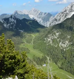 Žirovnica