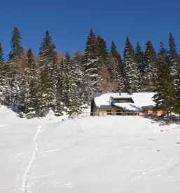 Planinci Žirovnica