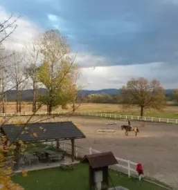 Šola jahanja Domžale, Ljubljana in okolica
