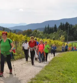 DU Velenje, Savinjska