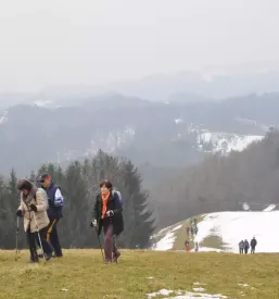 Aktivnosti za upokojence Velenje, Savinjska