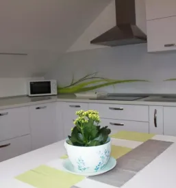 Apartma s teraso Bela krajina