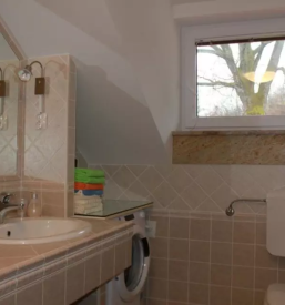 Apartma kolpa bela krajina