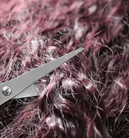 Najboljsi frizerski salon cerklje na gorenjskem