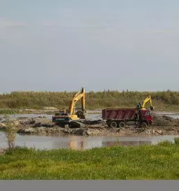 Domaci in mednarodni kiper prevozi zita