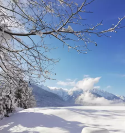 apartma Kranjska Gora