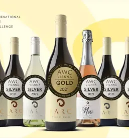 Degustacije vin Maribor