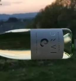 Degustacija belih vin Maribor