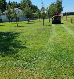 Košnja trave Murska Sobota, Pomurje