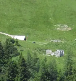 Planinsko društvo Križe
