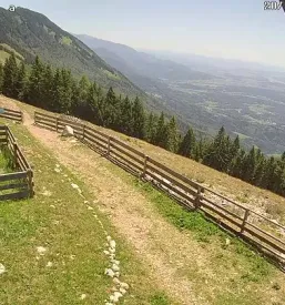 Planinsko društvo Križe članarina