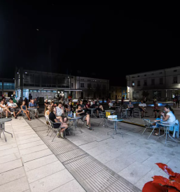 Zastopanje interesov studentov in dijakov ajdovscina goriska