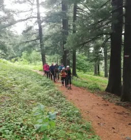 Planinci Postojna