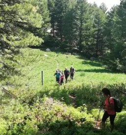 Planinsko društvo Postojna izleti