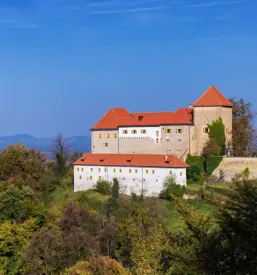 Poceni apartma Kozjansko, okolica