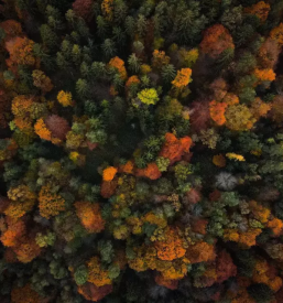 Najem fotografa za razlicne dogodke slovenija