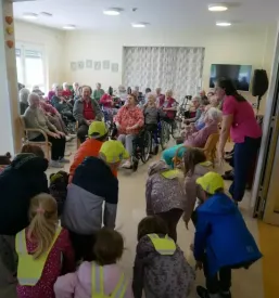Oskrba bolnikov z demenco Bela krajina