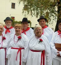 oskrba starejsih občanov metlika bela krajina