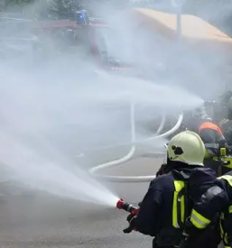 Prostovoljno gasilsko drustvo smednik posavje