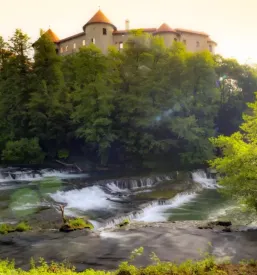 Društvo za turizem Suha krajina
