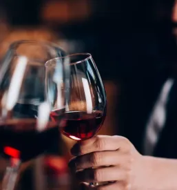prodaja vin Bizeljsko