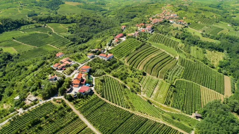 Turistična kmetija s sobami Dobrovo v Brdih, Goriška