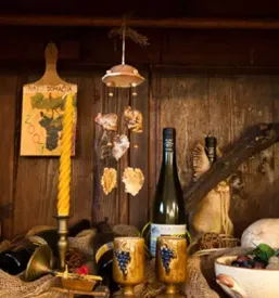 Vrhunsko rdece vino gornja radgona