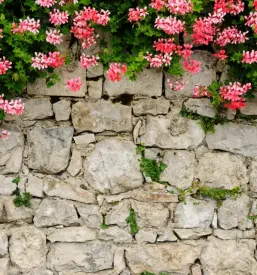 Kvalitetno tlakovanje dvorisc dolenjska