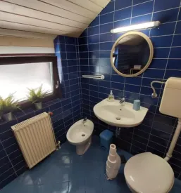 Druzinska apartmaja na gorenjskem