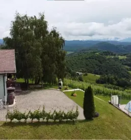 Najem zidanice apartmaja sentjanz dolenjska