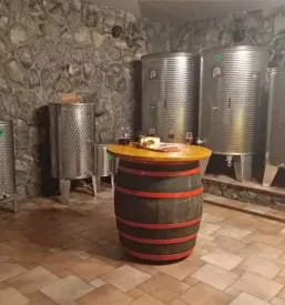 Najem zidanice apartmaja sentjanz dolenjska