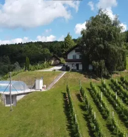 Najem zidanice apartmaja sentjanz dolenjska
