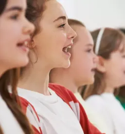 Vpis v kulturno drustvo koroska