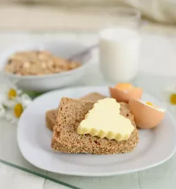 Ugodni apartmaji tolmin