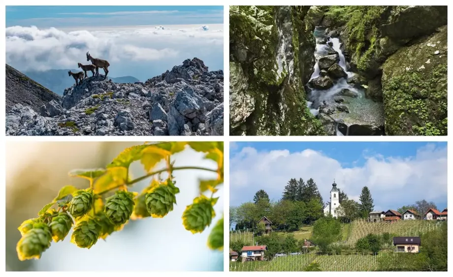 Fotografije slovenske narave