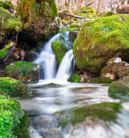 Ugodni apartmaji bovec goriska