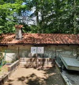 Ribiči Ilirska Bistrica
