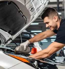 Dober serviser vozil Ljubljana