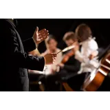 Kulturno društvo godalni orkester Celje