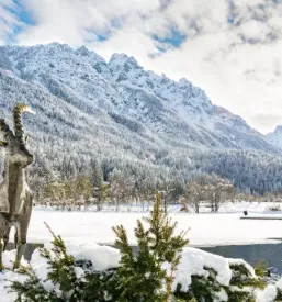 Apartma Kranjska Gora, Gorenjska
