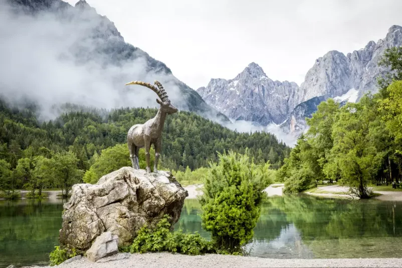 Apartma s teraso Kranjska Gora, Gorenjska